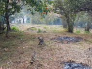 Продается земельный участок у моря в Махинджаури, Грузия. Вид на море. Ореховый сад. Фото 3