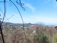 Частный дом с земельным участком в тихом районе Ортабатуми. Частный дом с видом на море и горы в Ортабатуми, Батуми, Грузия. Фото 7