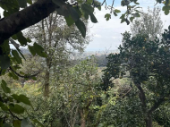 Land parcel, Ground area for sale in a resort district of Chakvi, Georgia. Near the river. Photo 2