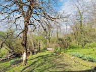 Купить дом с земельным участком в пригороде Кутаиси, Грузия. Фото 4