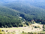 Продается земельный участок в курортном районе Рача-Лечхуми, Грузия. Фото 3