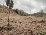 იყიდება მიწის ნაკვეთი ქალაქგარეთ ბათუმი, ორთაბათუმი. მდინარესთან. ფოტო 7