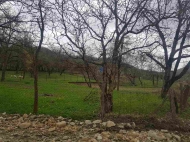 Land for sale in Kakheti, Georgia. Photo 5
