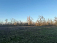 House for sale with a plot of land in Samtredia, Georgia. Near the river. Photo 9