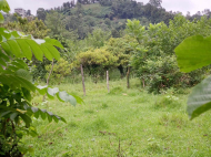 Land for sale near the sea in Gonio, Georgia. Photo 2