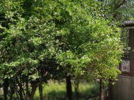 Купить дом в курортном районе Кутаиси, Грузия. У реки. Фото 2