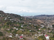 House for sale with a plot of land in the suburbs of Batumi, Akhalsheni. Photo 13