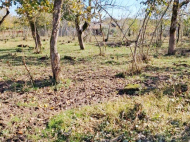 Купить частный дом с земельным участком в пригороде Сенаки, Грузия. Продается дом с земельным участком в красивом месте. У реки. Фото 13