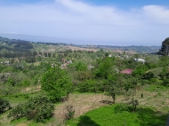 Купить земельный участок в Сахалвашо, Грузия. Фото 2