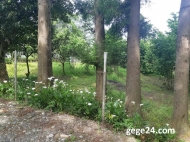 House for sale with a plot of land (Ground area) in a quiet district of Ortabatumi, Batumi, Georgia. Sea view and mountains. Photo 9