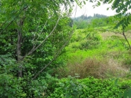 Land for sale in Shekvetili Photo 1