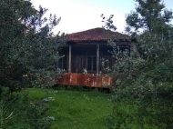 იყიდება ხის სახლი მიწის ნაკვეთით სოფელ მერიში,ოზურგეთი,საქართველო. ფოტო 1
