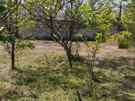 land for sale with a small house in Zugdidi, Georgia. Photo 5