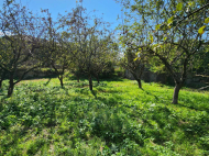 Land parcel, Ground area for sale in Kaspi, Georgia. Photo 2