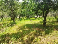 Продается земельный участок в пригороде Батуми, Хелвачаури. Фото 5