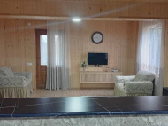 Купить частный дом с земельным участком в пригороде Озургети, Грузия. Природный родник. У реки. Фото 2