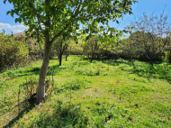 Land parcel, Ground area for sale in Kaspi, Georgia. Photo 3