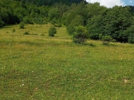Продается земельный участок в курортном районе Рача-Лечхуми, Грузия. Фото 3
