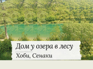 House for sale with a plot of land in the suburbs of Senaki, Georgia. House for sale with land in a beautiful location. Near the river. Photo 1