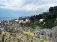 იყიდება კერძო სახლი მიწის ნაკვეთით ციხისძირში, საქართველო. ფოტო 2