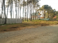 Ground area for sale at the seaside of Shekvetili, Georgia. Land with sea view. Photo 2