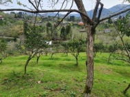 House for sale with a plot of land in the suburbs of Batumi, Georgia. Photo 19