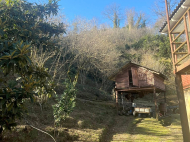 Купить дом с земельным участком в пригороде Ланчхути, Грузия. Мандариновый сад, Фруктовый сад. Ореховый сад. Фото 5