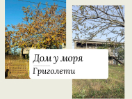 Продается дом с земельным участком в Григолети, Грузия. Фото 2