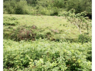 Land parcel, Ground area for sale in Kvirike, Georgia. Near the river. Photo 4