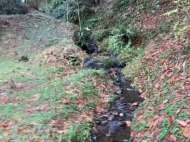 ვიყიდი კერძო სახლს საკურორტო რაიონში ჩაქვში, ჩაისუბანი. ფოტო 9