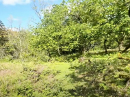 House for sale with a plot of land in the suburbs of Ozurgeti, Georgia. Near the river. Photo 11