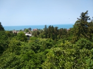 Продается земельный участок с лучшим видом на море Букнари Аджария Грузия Фото 1
