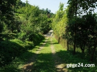 House  for sale with a plot of  land and tangerine garden in Batumi, Georgia. River view. Photo 6