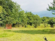 ყიდვა კერძო სახლის მიწის ნაკვეთით ქალაქგარეთ ჩოხატაური, საქართველო. ფოტო 8