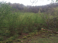 Land parcel, Ground area for sale in a picturesque place. Natural spring. Photo 2