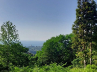 Land parcel, Ground area for sale in Sakhalvasho, Georgia. The project has a construction permit. Photo 2