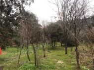 Land parcel, Ground area for sale near the sea in Gonio, Georgia. Photo 3