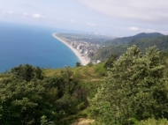 Участок с видом на море в Сарпи, Грузия. Фото 5