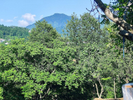 Участок в Капрешуми. Участок с видом на море и город. Капрешуми, Грузия. Фото 3