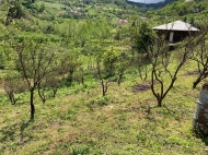 Продается земельный участок с прекрасным видом на горы в Тхилнари, Аджария, Грузия. Фото 9
