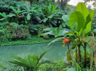 იყიდება კერძო სახლი მიწის ნაკვეთით ციხისძირში, საქართველო. ფოტო 2