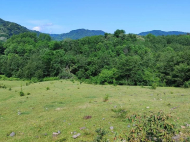Land parcel, Ground area for sale in the suburbs of Lanchkhuti, Georgia. Photo 2