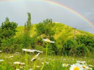 იყიდება მიწა ისტორიულ და საკურორტო ზონაში. მიწის ნაკვეთი საკურორტო რაიონი, საქართველო. ფოტო 5