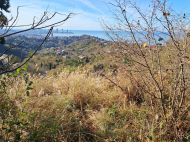 Land parcel, Ground area for sale in a resort district of Makhinjauri, Georgia. Land with sea view. Photo 6