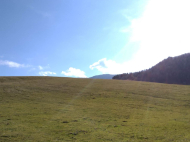 Land parcel, Ground area for sale in Khashuri, Georgia. Photo 1