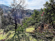 Продается дом с земельным участком в Бобоквати, Грузия. У реки. Фото 10