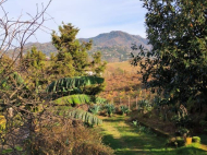 Купить частный дом в курортном районе Сахалвашо, Грузия. У реки. Фото 17