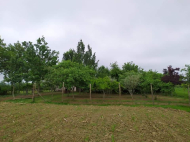 House for sale with a plot of land in the suburbs of Supsa, Georgia. Orchard. Walnut garden. Photo 4