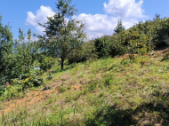 Купить частный дом в курортном районе Сахалвашо, Грузия. У реки. Фото 16