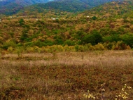 A plot of land for sale in the suburbs of Tbilisi. Photo 2